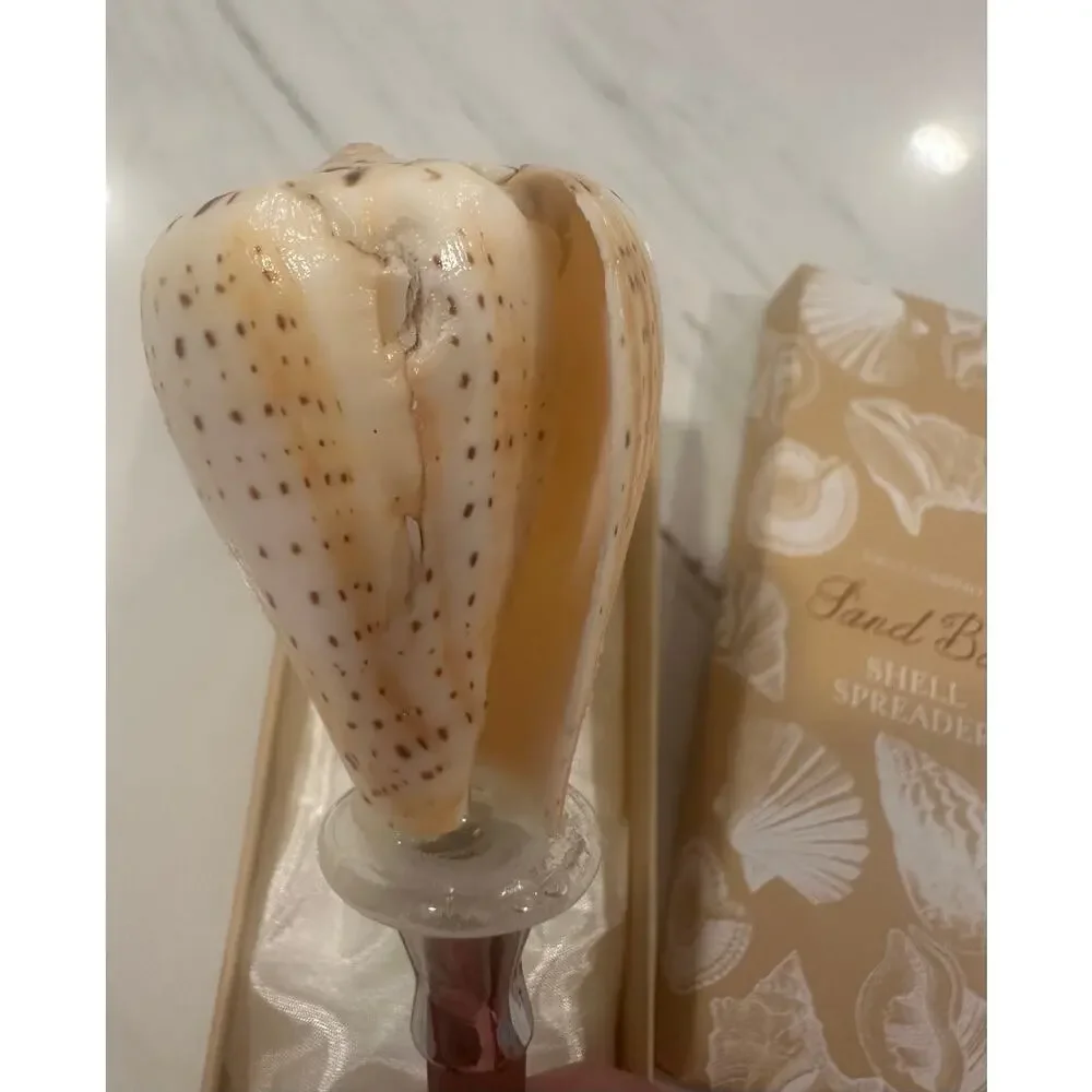 Two’s Company Sand Bar Shell Spreader Natural Seashell Handle Boxed Coastal